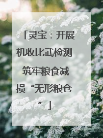 灵宝：开展机收比武检测 筑牢粮食减损“无形粮仓”