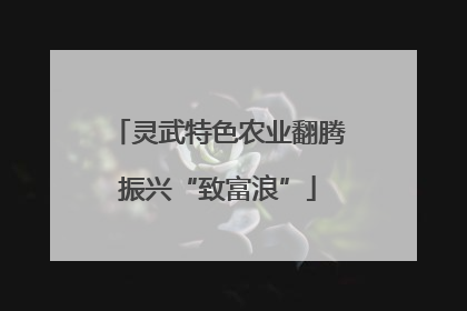 灵武特色农业翻腾振兴“致富浪”