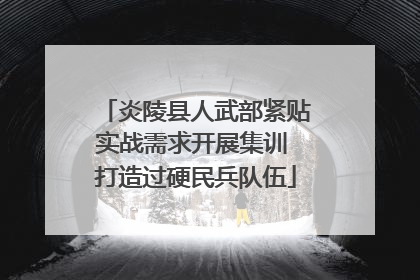 炎陵县人武部紧贴实战需求开展集训 打造过硬民兵队伍