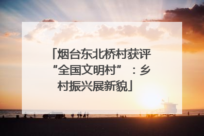烟台东北桥村获评“全国文明村”：乡村振兴展新貌