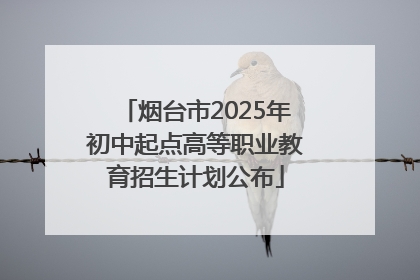 烟台市2025年初中起点高等职业教育招生计划公布