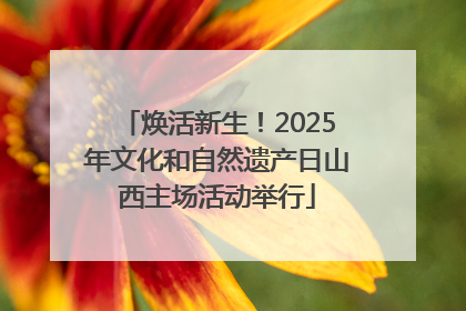 焕活新生！2025年文化和自然遗产日山西主场活动举行