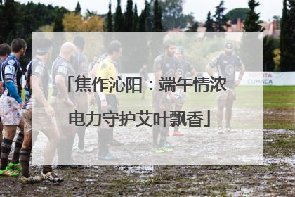 焦作沁阳：端午情浓 电力守护艾叶飘香
