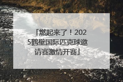 燃起来了！2025鹤壁国际匹克球邀请赛激情开赛