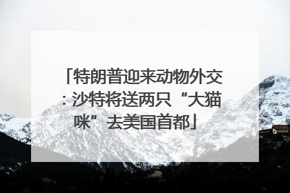 特朗普迎来动物外交：沙特将送两只“大猫咪”去美国首都