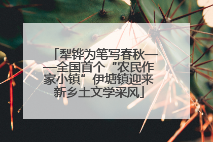 犁铧为笔写春秋——全国首个“农民作家小镇”伊塘镇迎来新乡土文学采风
