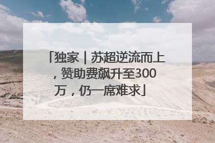 独家｜苏超逆流而上，赞助费飙升至300万，仍一席难求