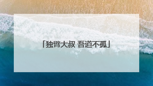 独臂大叔 吾道不孤