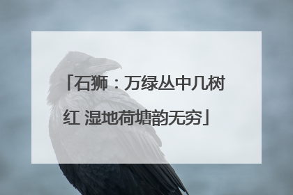 石狮：万绿丛中几树红 湿地荷塘韵无穷