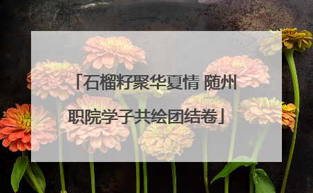石榴籽聚华夏情 随州职院学子共绘团结卷