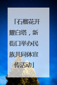石榴花开耀白塔，新街口举办民族共同体宣传活动