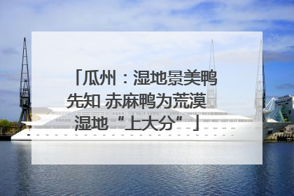 瓜州：湿地景美鸭先知 赤麻鸭为荒漠湿地“上大分”