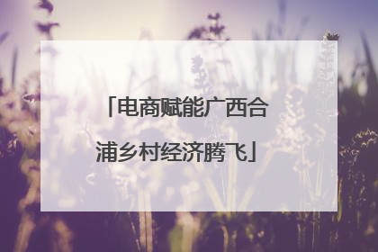 电商赋能广西合浦乡村经济腾飞