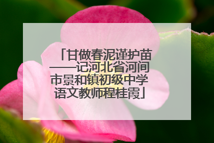 甘做春泥谨护苗——记河北省河间市景和镇初级中学语文教师程桂霞