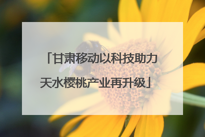 甘肃移动以科技助力天水樱桃产业再升级
