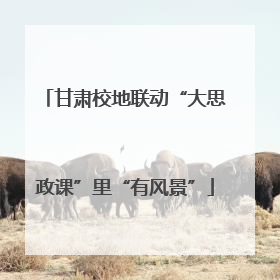 甘肃校地联动“大思政课”里“有风景”