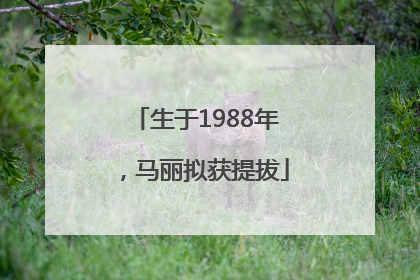 生于1988年，马丽拟获提拔