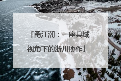 甬江潮：一座县域视角下的浙川协作