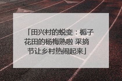 田兴村的蜕变：栀子花田的杨梅熟啦 采摘节让乡村热闹起来