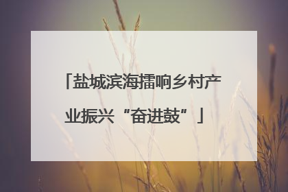 盐城滨海擂响乡村产业振兴“奋进鼓”