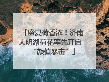 盛夏荷香浓！济南大明湖荷花率先开启“颜值暴击”