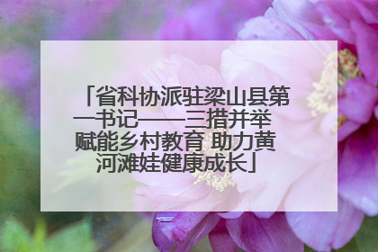 省科协派驻梁山县第一书记——三措并举 赋能乡村教育 助力黄河滩娃健康成长