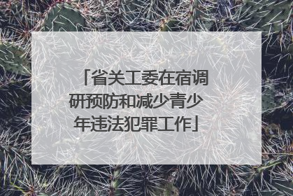 省关工委在宿调研预防和减少青少年违法犯罪工作