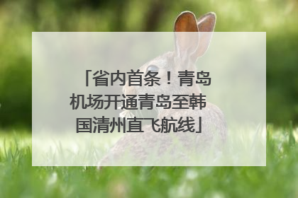 省内首条！青岛机场开通青岛至韩国清州直飞航线