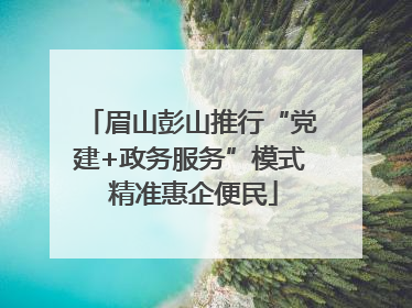 眉山彭山推行“党建+政务服务”模式 精准惠企便民