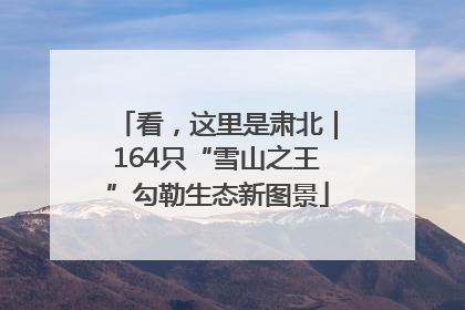 看，这里是肃北｜164只“雪山之王”勾勒生态新图景