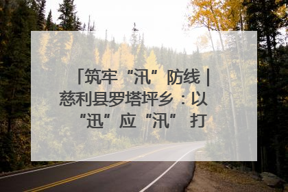 筑牢“汛”防线｜慈利县罗塔坪乡：以“迅”应“汛” 打赢暴雨防御战