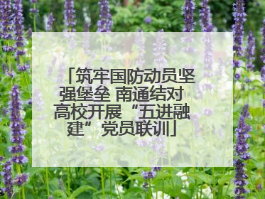 筑牢国防动员坚强堡垒 南通结对高校开展“五进融建”党员联训