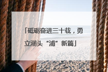 砥砺奋进三十载，勇立潮头“浦”新篇