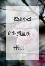 福建小微企业质量跃升记