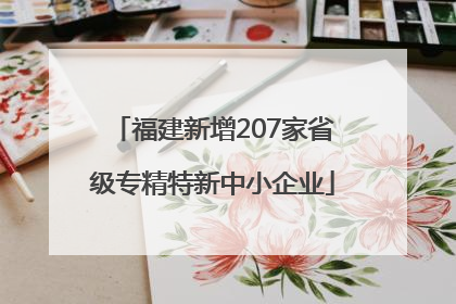 福建新增207家省级专精特新中小企业