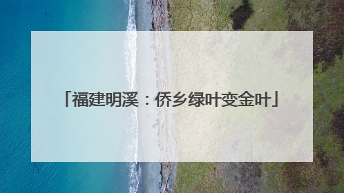 福建明溪：侨乡绿叶变金叶