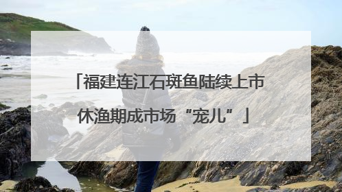 福建连江石斑鱼陆续上市 休渔期成市场“宠儿”