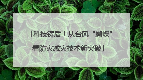 科技铸盾！从台风“蝴蝶” 看防灾减灾技术新突破