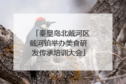 秦皇岛北戴河区戴河镇举办美食研发传承培训大会