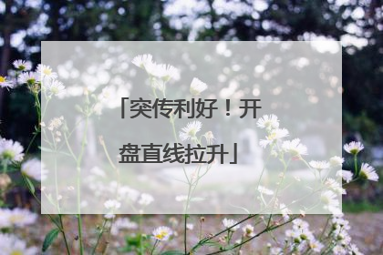 突传利好！开盘直线拉升