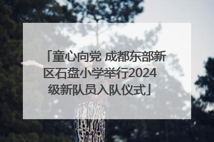 童心向党 成都东部新区石盘小学举行2024级新队员入队仪式