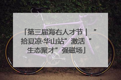第三届海右人才节｜“拾夏凉·华山站”激活“生态聚才”强磁场