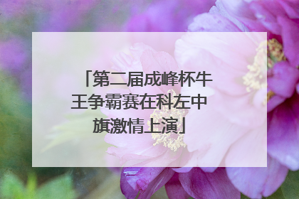 第二届成峰杯牛王争霸赛在科左中旗激情上演