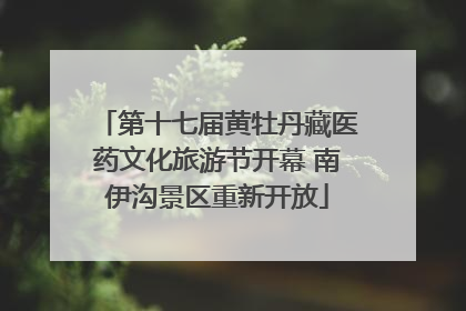 第十七届黄牡丹藏医药文化旅游节开幕 南伊沟景区重新开放