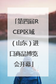 第四届RCEP区域（山东）进口商品博览会开幕