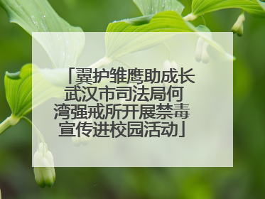 翼护雏鹰助成长 武汉市司法局何湾强戒所开展禁毒宣传进校园活动