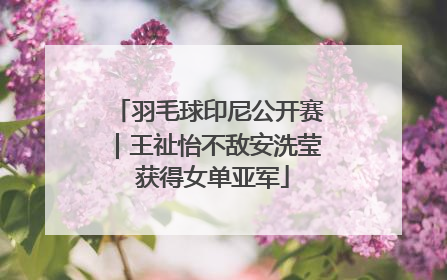 羽毛球印尼公开赛｜王祉怡不敌安洗莹 获得女单亚军