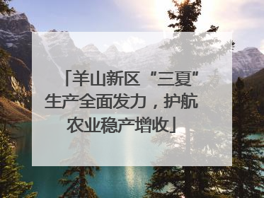 羊山新区“三夏”生产全面发力，护航农业稳产增收