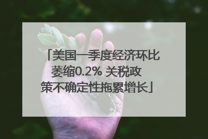 美国一季度经济环比萎缩0.2% 关税政策不确定性拖累增长