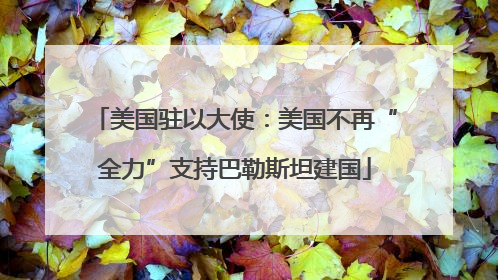 美国驻以大使：美国不再“全力”支持巴勒斯坦建国